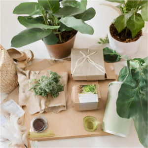 Sustainable Living Essentials: Curating A Life Filled With Eco-Friendly Choices